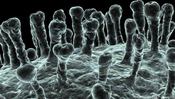 هذه هي الأماكن الأكثر خطورة للإصابة بكورونا