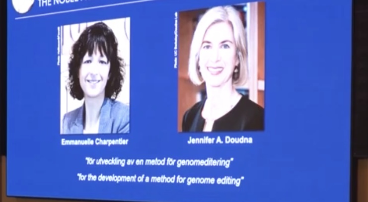 نوبل للكيمياء…نسائية بامتياز