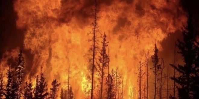 84B27FD7 1767 44EC 912E C67925E68304