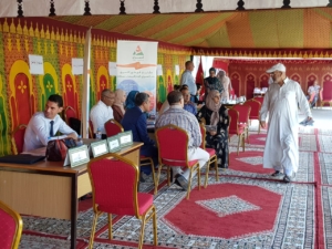 97989911 9777 43fe a0f0 09618857d81f