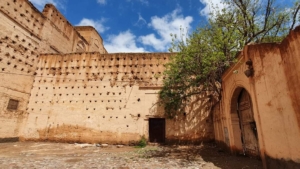 WhatsApp Image 2022 09 29 at 15.04.44 1