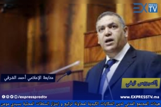الفتيت