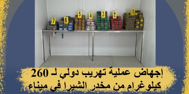 MINAITURE MA9ALAT 8