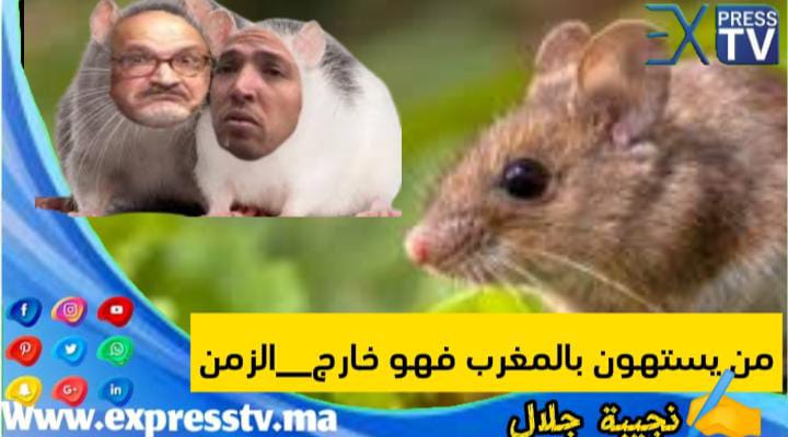 من يستهون بالمغرب فهو خارج_الزمن