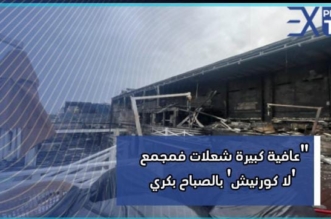 IMG 20240119 WA01391