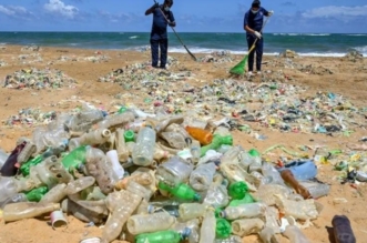 vis 0129202419275804