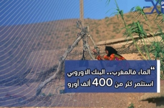 IMG 20240223 WA0150