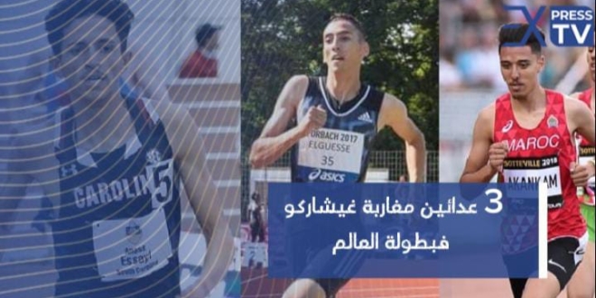 IMG 20240228 WA01481