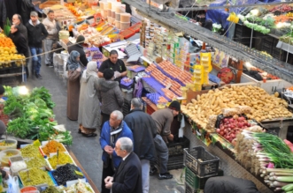 مواد 100