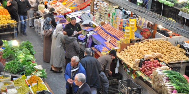 مواد 100