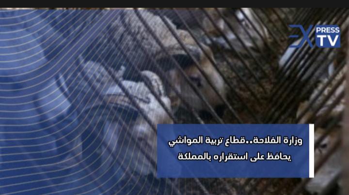 IMG 20240525 WA0079