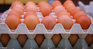 انخفاض ثمن البيض