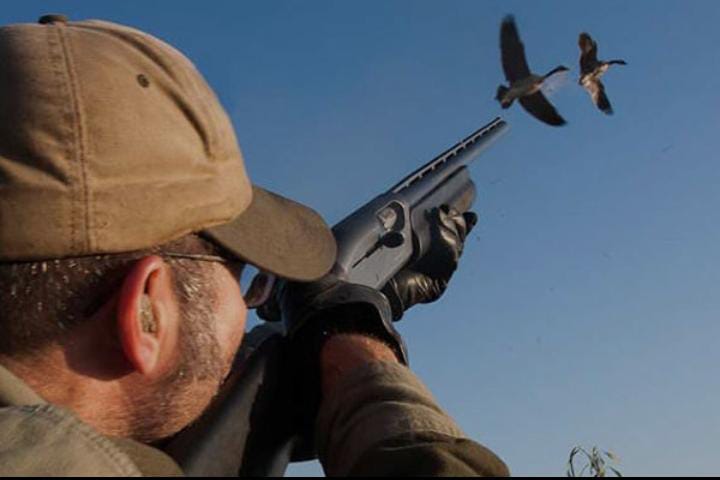 القنص الجائر: الوكالة الوطنية للمياه والغابات تعلن الحرب على القنص غير القانوني قبيل افتاح موسم القنص.