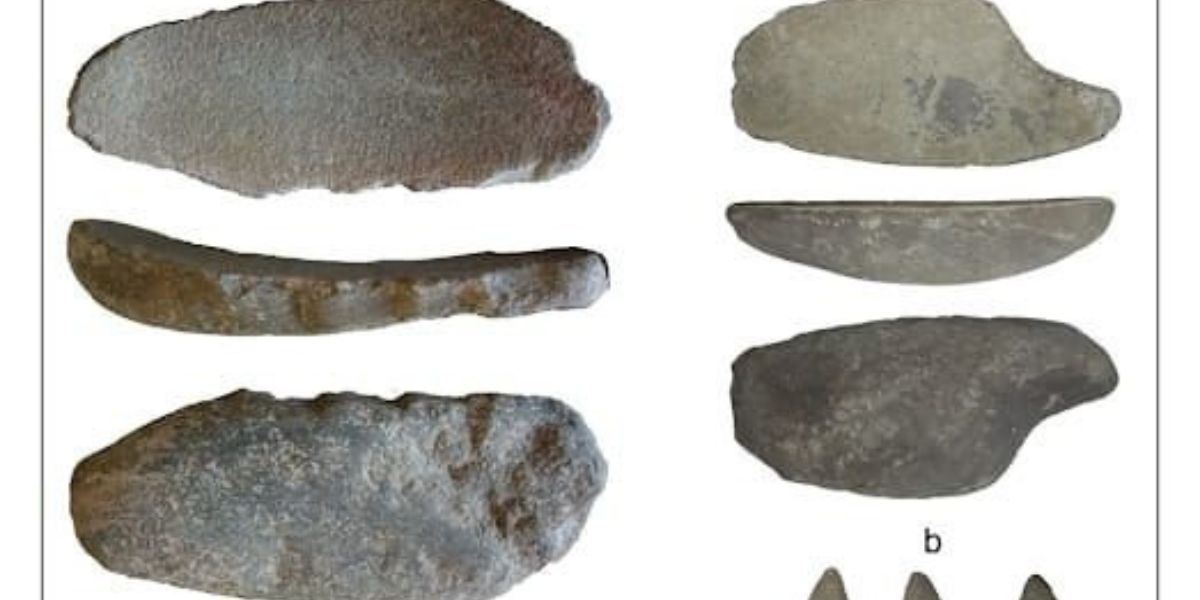 WhatsApp Image 2024 09 25 at 16.13.48