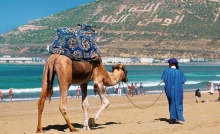 سياح