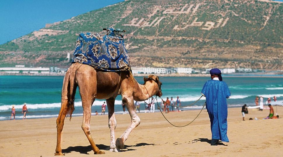 السياحة