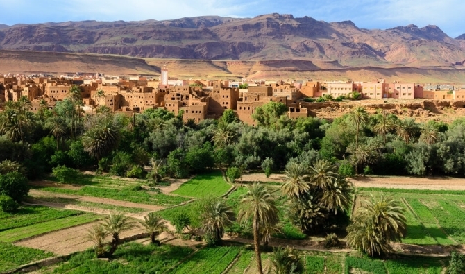 البنك الدولي يبرز استراتيجية المغرب للحفاظ على الواحات وإحيائها