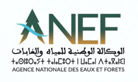 anef 1 jpg 0