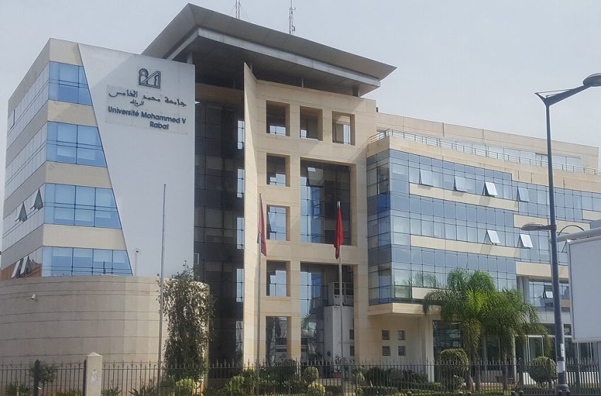 UM5 rabat
