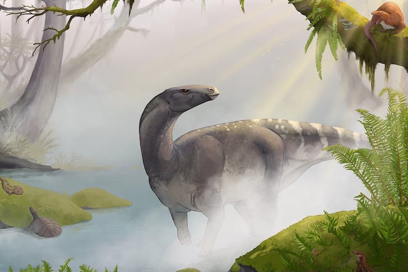 ornithischian cerapodan dinosaur