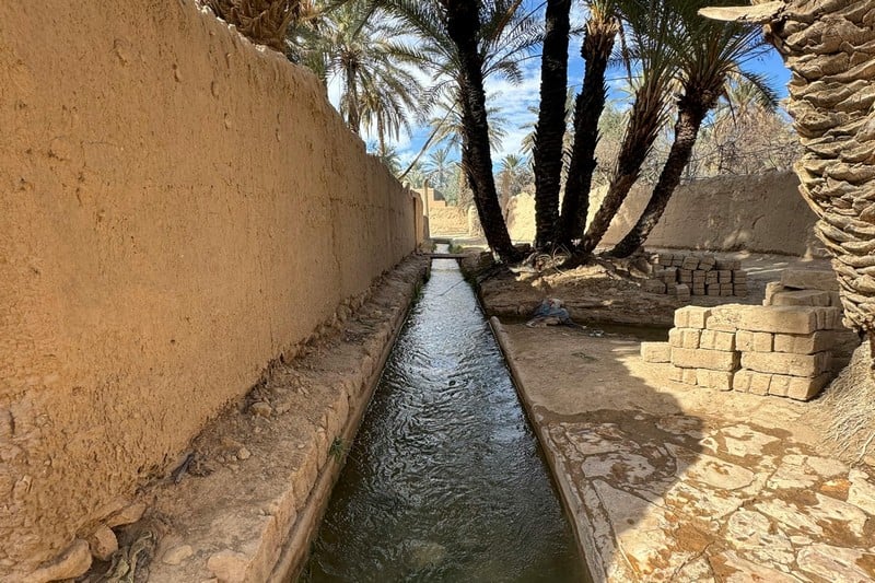 figuig oasis