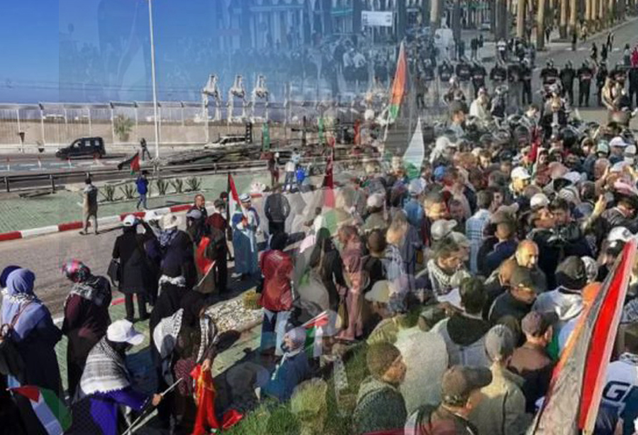 وقفتي ميناء الدارالبيضاء وطنجة