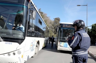 bus transport