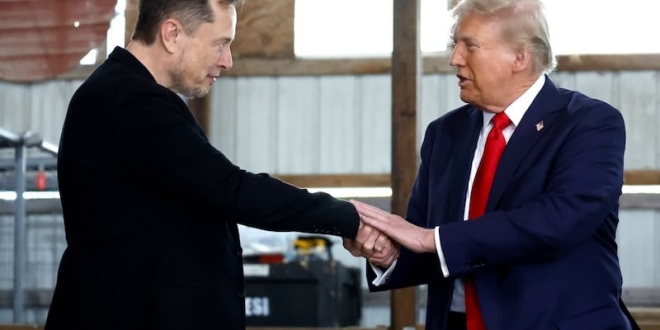 donald trump elon muskjpg