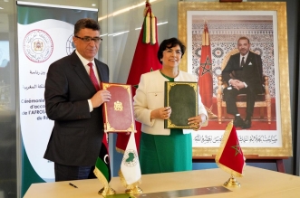 الأفروساي