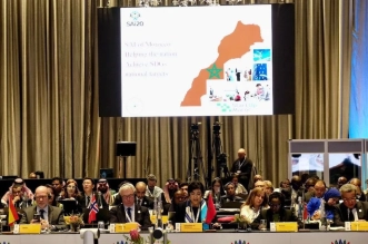 zineb adaoui delegation de la Cour des Comptes du Royaume participe a Johannesburg au Sommet SAI20
