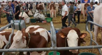 قمة تربية المواشي في كليرمون-فيران.. الجناح المغربي ضيف الشرف بأكبر جناح في المعرض