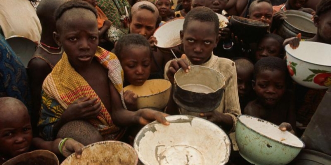 الأمن الغذائي