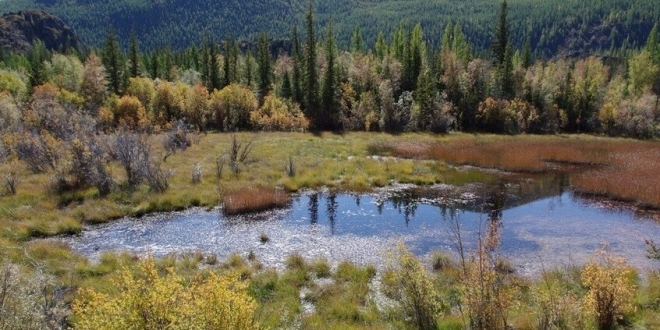 689d6ecc4c59b7596a301533