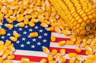 Asie du Sud Est Le retour en force du ble et du mais americains 696x392 1