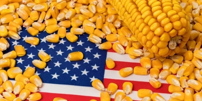 Asie du Sud Est Le retour en force du ble et du mais americains 696x392 1