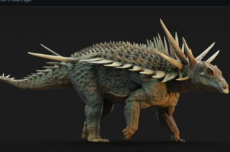 Capture decran 2025 08 31 160514