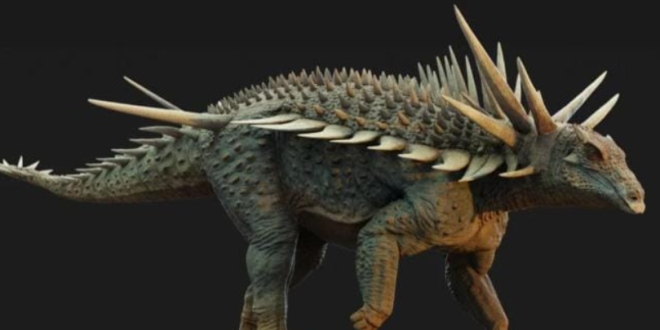 Capture decran 2025 08 31 160514