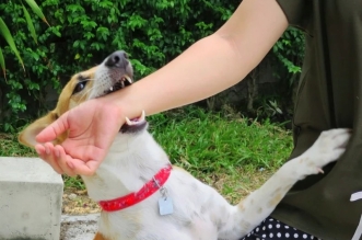 WhatsApp Image 2025 08 08 at 11.11.57