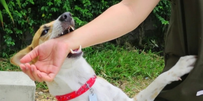 WhatsApp Image 2025 08 08 at 11.11.57