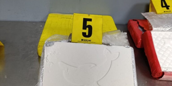 WhatsApp Image 2025 08 14 at 00.23.24 1 768x1021 1