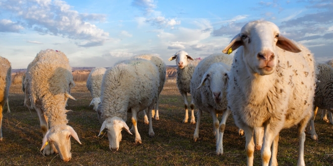 WhatsApp Image 2025 08 26 at 13.32.54