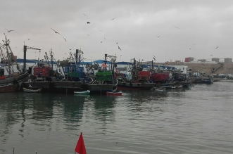 inbound5083834333521173510