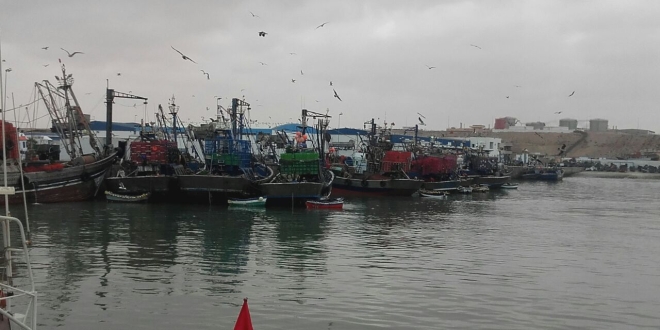 inbound5083834333521173510