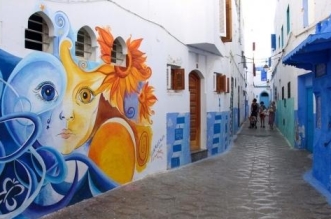 1595264385vente de terrain a sidi mghait assilah IMGH1578561495 streetartasilah1024x683 rbcDWZ2