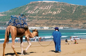 6449130abcd01 1024x702.jpg