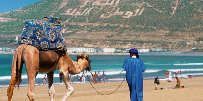 6449130abcd01 1024x702.jpg