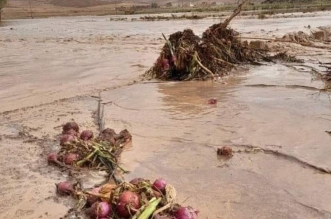 Capture decran 2024 09 01 160155