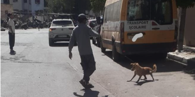 Capture decran 2025 09 30 144849