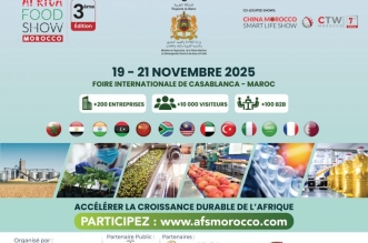 WhatsApp Image 2025 09 08 a 10.48.46 ca8f011c 696x522 1