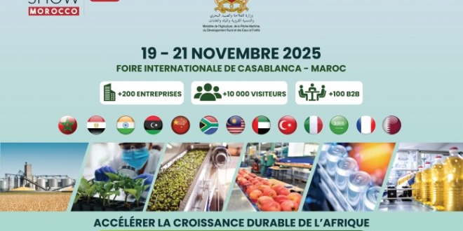 WhatsApp Image 2025 09 08 a 10.48.46 ca8f011c 696x522 1